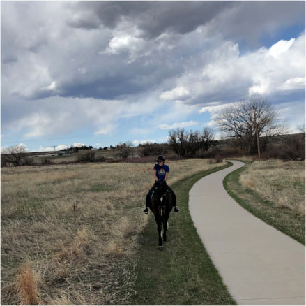 Creekside Equestrian Parker Colorado